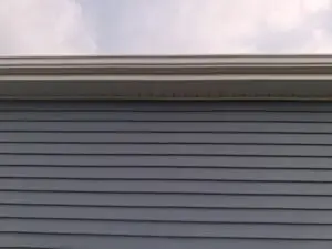 Siding Repair Service in Bowling Green