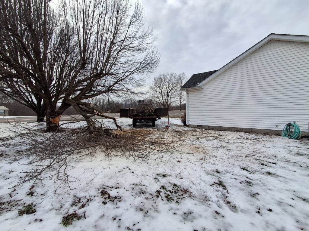 Tree Removal Service in Scottsville