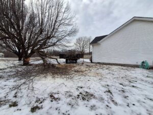 Tree Removal Service in Scottsville